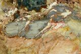 Free-Standing, Gary Green Jasper (Larsonite) Bog Wood - Oregon #370997-1